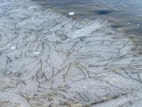 Bizarre Formen im Eis in Ufernähe